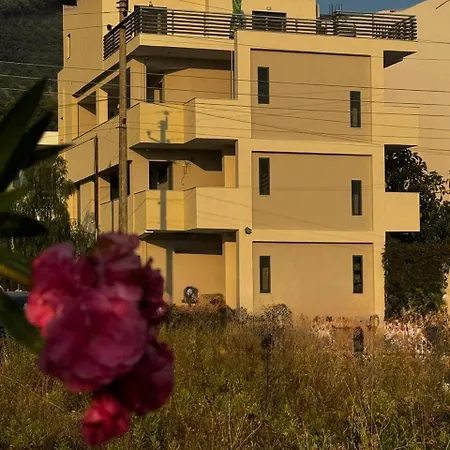 The Oasis Hotel